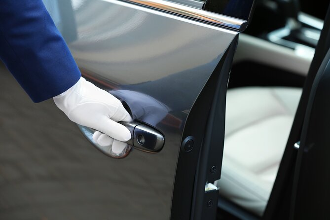 Private Transfer to or From Dulles Airport IAD to Washington DC - Accessibility and Additional Information