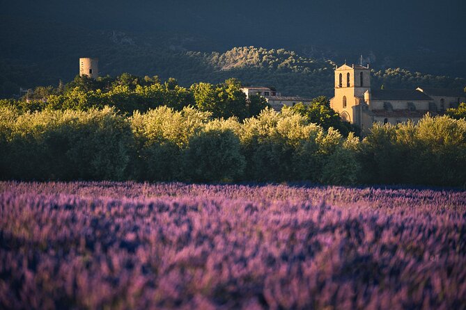 Private Transfers Provence by Smart Vtc - Exceptional Customer Support