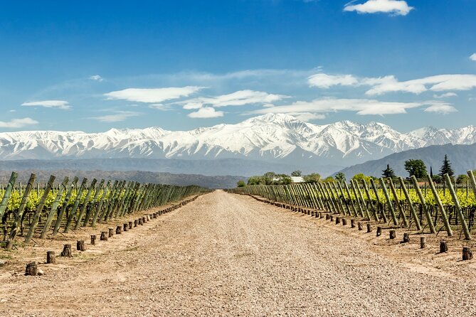 Private Transfers to Wineries in Lujan and Maipú - Winery Reservations and Tastings