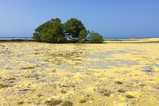 Private Trip to Sharm El Lulli and Wadi El Qulaan From Marsa Alam - Booking Details