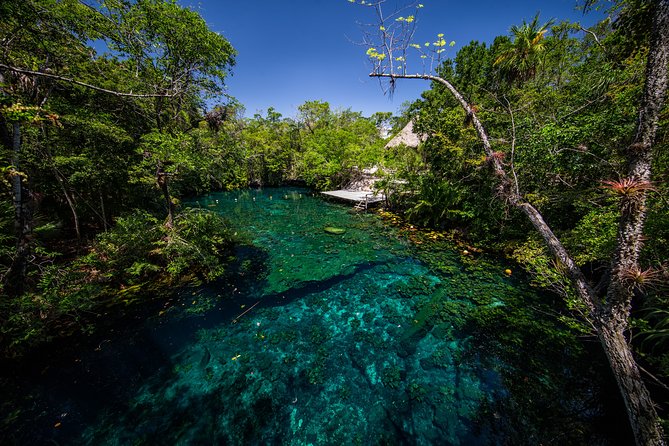 Private - Tulum Ruins and 3 Cenotes Jungle Adventure - Tour Experience and Feedback