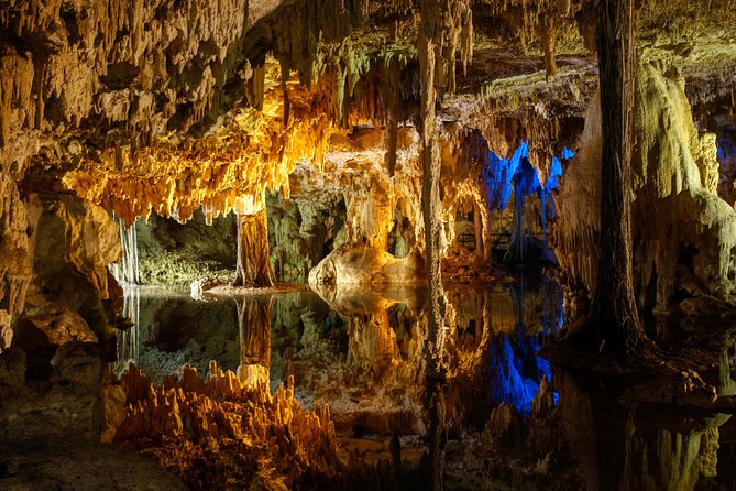 Private Turtles & Cenotes Adventure - Accessibility and Health