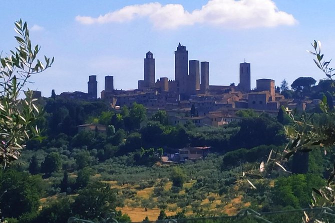 Private Tuscan Cooking Class and Wine Tasting in Radda in Chianti With Giorgia - Wine and Olive Oil Tasting