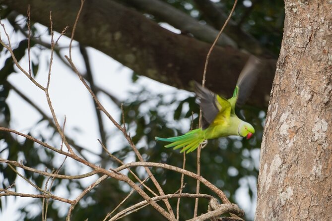 Private Udawalawe Safari Tour With Pickup From Bentota/Ahungalla - Pickup Information