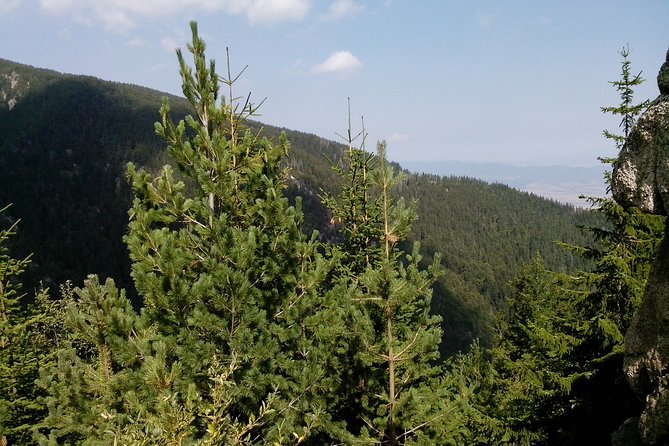 Private Vitosha Mountains Hiking With Black Peak & Dragalevtsi Monastery - Transportation Options Available