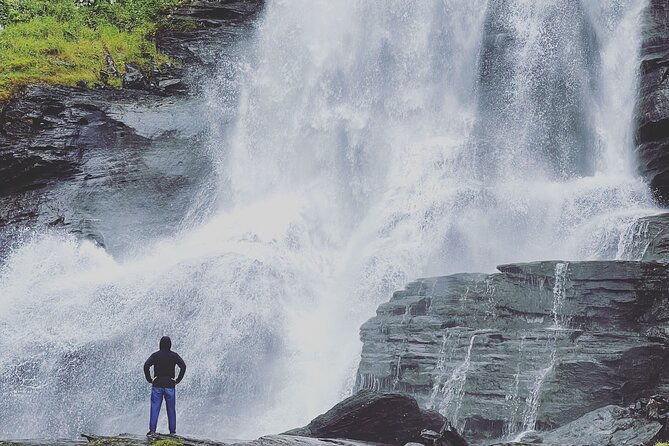Private Waterfalls and Wonders Tour in Norway - Inclusions of the Tour