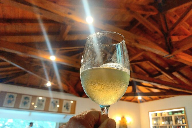 Private Wine Experience in Rota Do Vinho Verde With Lunch - Transportation and Logistics