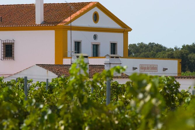 Private Wine & Food Tour in Alentejo - Pickup Information