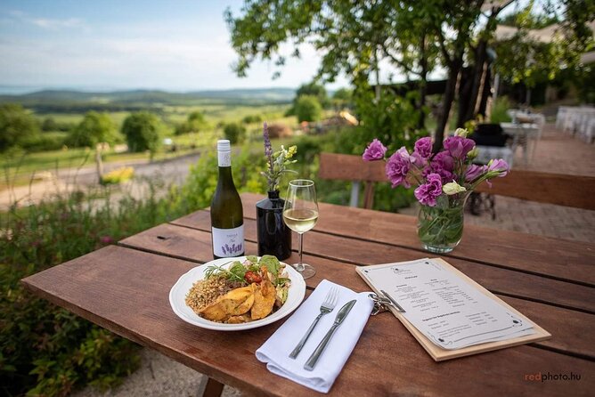 Private Wine Tasting and Sightseeing Review - Accessibility