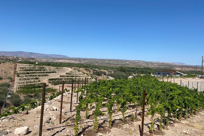 Private Wine Tour From Sedona - Arizona'S Most Luxurious Wine Tour - Customer Experiences