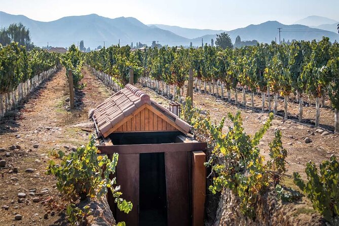 Private Winery Undurraga From Santiago - Vineyard Tour Details