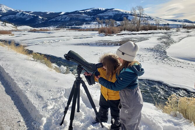 PRIVATE Wolf & Wildlife Watching in Yellowstones Lamar Valley - Gray Wolf Conservation Efforts