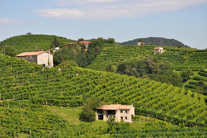 Prosecco'S Roots & the Karst Region From Trieste - Exploring Proseccos Origins
