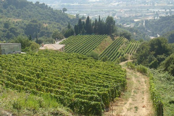Provence Countryside Full-Day Private Tour From Nice - Inclusions and Exclusions