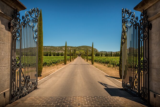 Provence Small Group Half-Day Wine Tour From Aix - Traveler Requirements