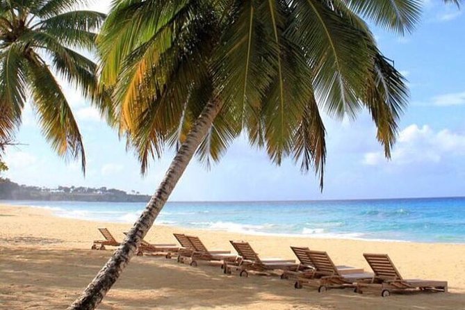 Puerto Plata- Rio San Juan Round Trip Shuttle- 1-6 Passangers - Safety and Policies