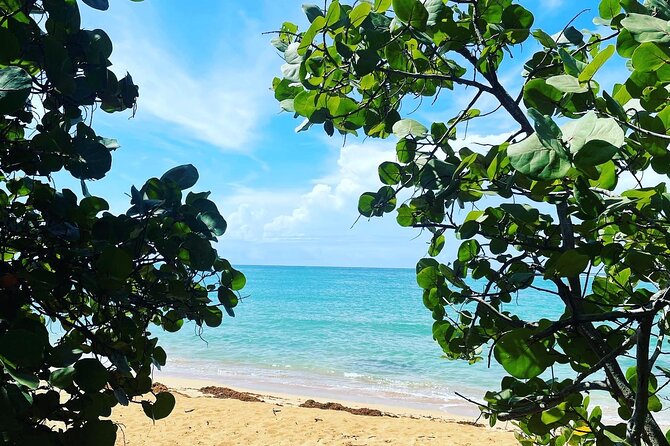 Puerto Rico Hidden Spring Swim and Beach Snorkeling Tour - Meeting Details