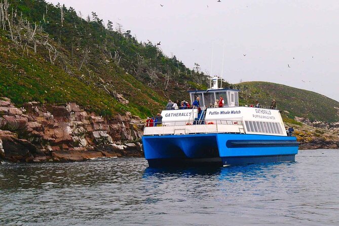 Puffin & Whale Boat Tour - Meeting and Pickup Details