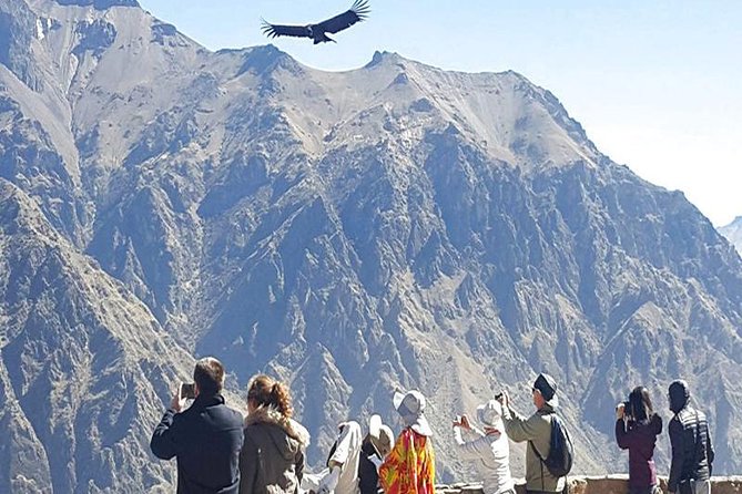 Puno, Chivay and Colca Canyon 2 Days and 1 Night - Reviews and Feedback