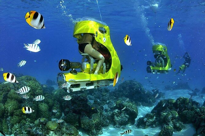 Punta Cana Scuba Doo Adventure Experience - Canadian Managed - Company Ownership and Quality Assurance