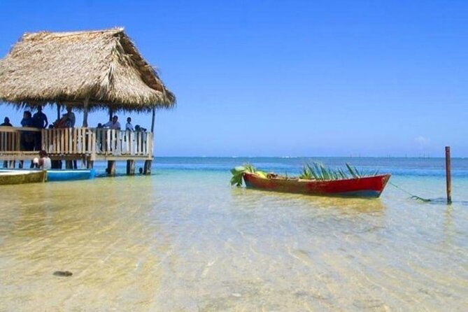 Punta Gorda Sunday Funday+ATV/Buggy Eco-Jungle & Beach Adventure - Pickup and Accessibility