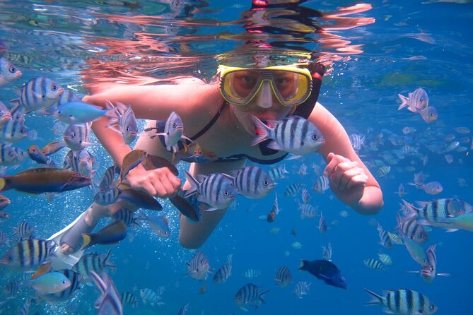 Punta Leona Beach Day - Guest Reviews and Ratings