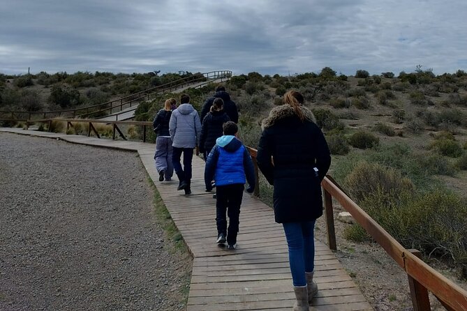 Punta Tombo for Cruises Walk Among Penguins - Preparing for the Punta Tombo Tour