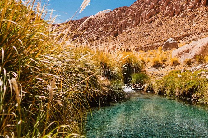 Puritama Hot Springs Tour With Tickets - Inclusions and Pricing