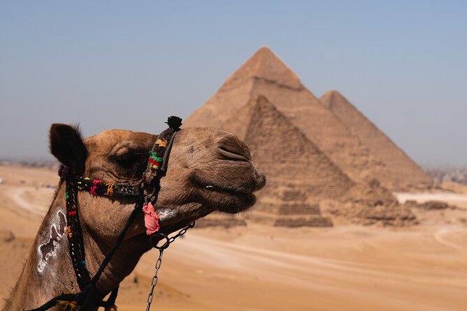 Pyramids and Egyptian Museum - Cairo Tour - Booking Information