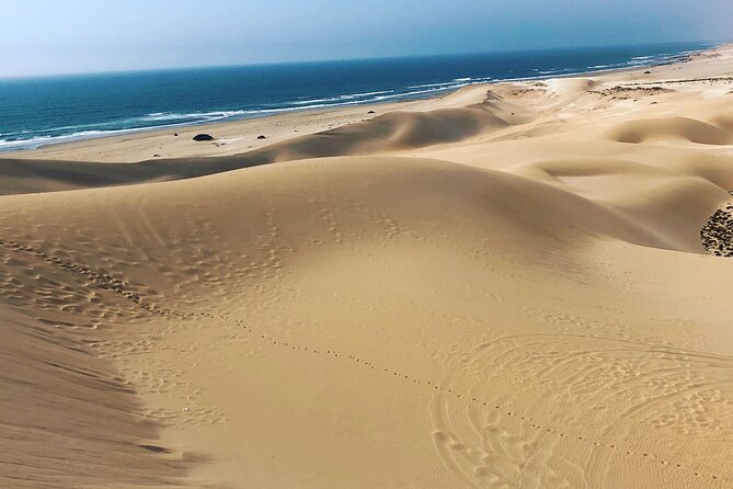 Quad Biking and Sandboarding on Sand Dunes Wild Beach - Pickup and Transportation