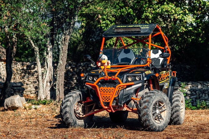 Quad Buggy Excursion Tour - Additional Considerations