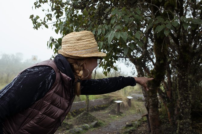 Quito to Cotopaxi in Transfer in Fantasy Bus - Operator and Review Verification