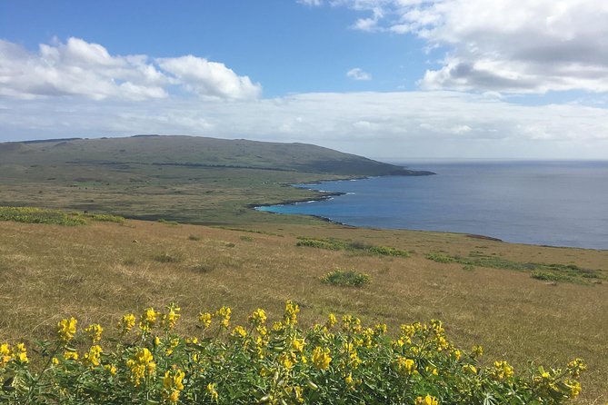 R3-THE RAPA NUI PENINSULA (Non-Cruise Visitors) - Experiencing the Vibrant Culture