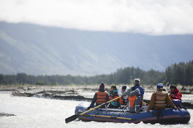 Rafting to Chilkat Bald Eagle Preserve From Haines - Bald Eagle Viewing