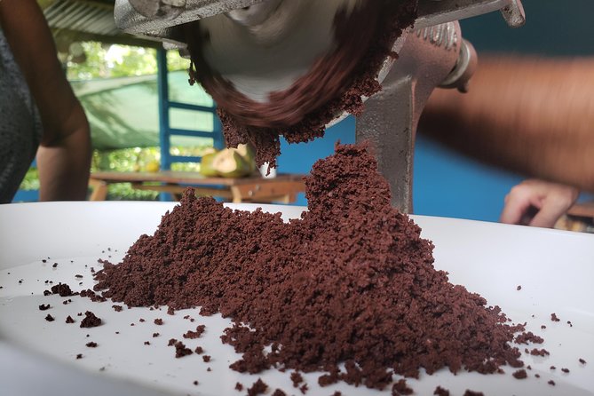 Rainforest Combo - Chocolate - Sloths - Cortes Waterfall - Discover the Majestic Cortes Waterfall