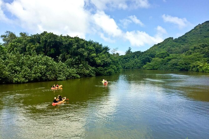 Rainforest River Kayak Self-Guided Kayak Tour - Booking Details