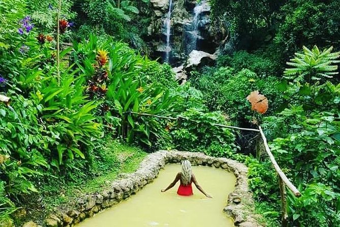 Rainforest Waterfall Adventure - Savoring the Lunch Experience