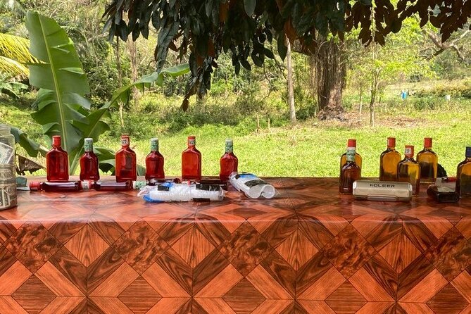 Rastasafari and Negril Tour With French Guide - Accessibility and Participation