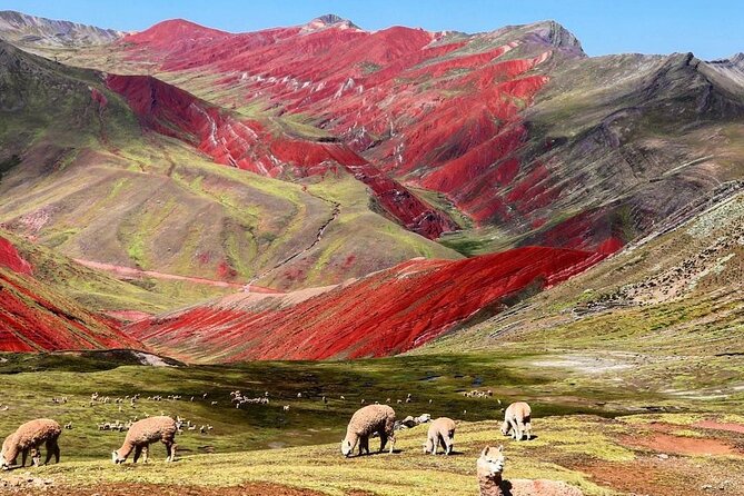 Red Valley Cusco - Full Day Tour - Pickup Information