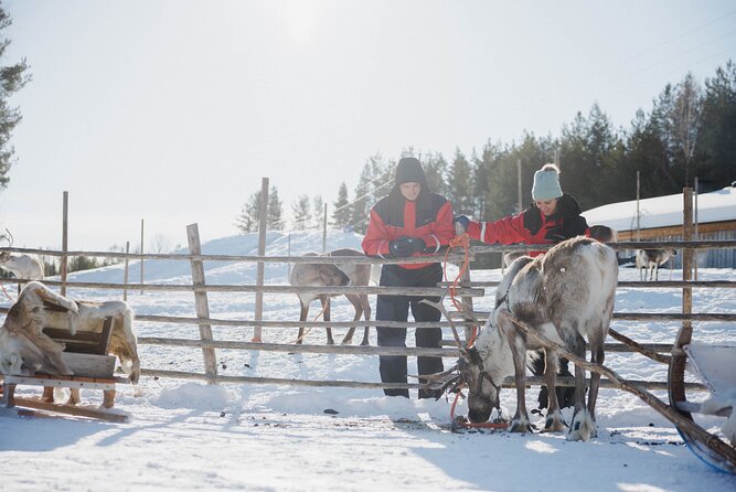 Reindeer Farm Visit With Sledge Ride - Meeting and Pickup Information