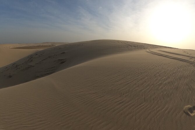 Relax Desert Safari Tour With Camel Ride and Sand Boarding - Guest Reviews