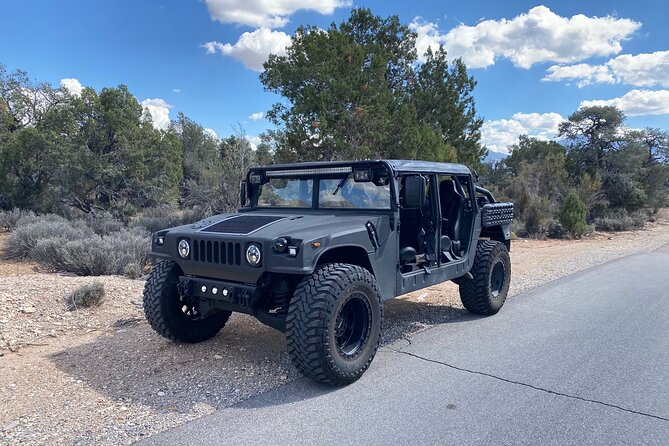 Rent a Custom Military Hummer H1 in Las Vegas - Accessibility and Participation