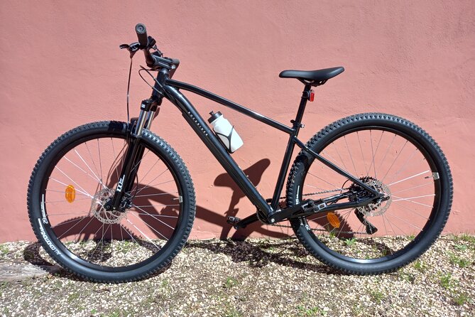 Rent a Mountain Bike and Explore Lagos and Algarve in Portugal - Group Size and Capacity