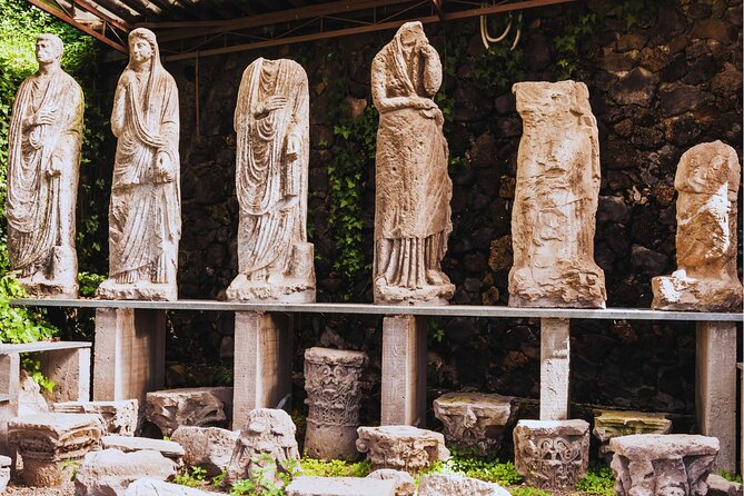 Reserved Entrance to Pompeii Ruins With Digital Audio Guide - Accessibility and Participation