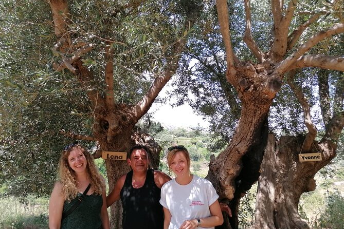 Rethymnon Olive Tree Sponsorship Protect and Plant Tour - Viator Company Background