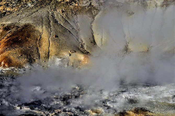Reykjanes Peninsula- Geopark and Much More. Private Tour - Additional Accessibility Information