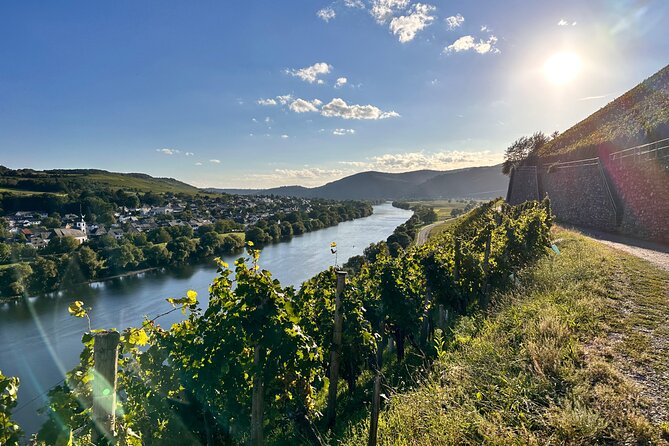 Rhein Castles & Regal Riesling. Tasting Wine Along the Rhein - Rhein Castles and Wine Tasting