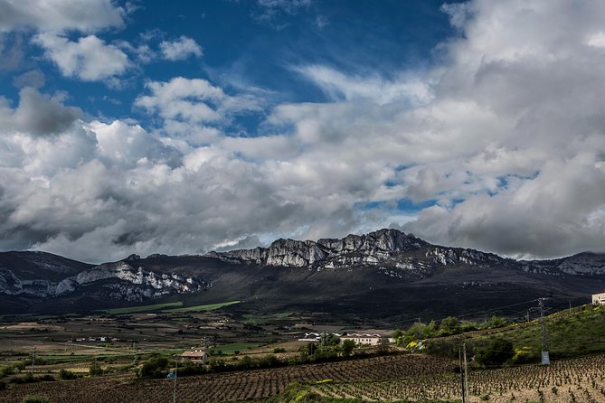 Rioja Wine Tour: Winery & Traditional Lunch From Pamplona - Pickup Information