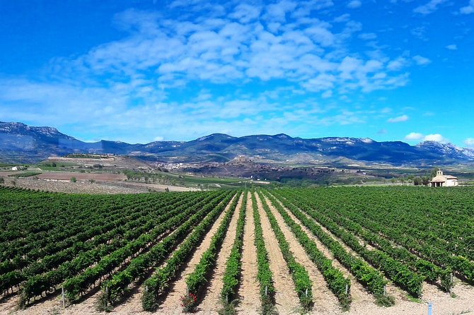 Riojas Top Wines Tasting Private Tour - Culinary Encounter