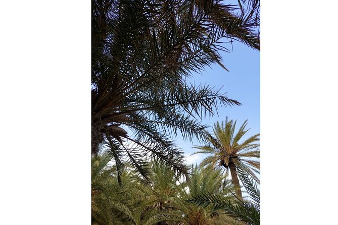 RIVIERA - Vai Palm Beach, Toplou Monastery - Booking and Cancellation